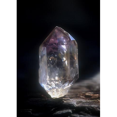 Scepter Amethyst 賽普特紫晶