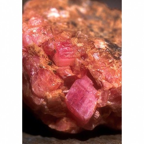 Montana Rhodochrosite 蒙大拿菱錳礦（組合：愛情，親密）