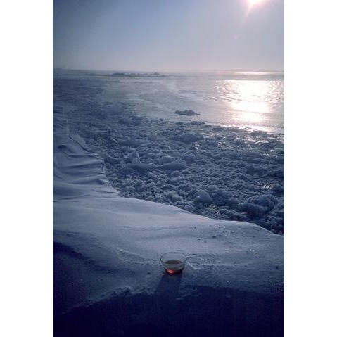 Polar Ice 極地冰 （限量發售）