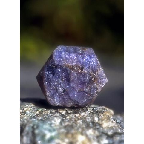 Sapphire 藍寶石